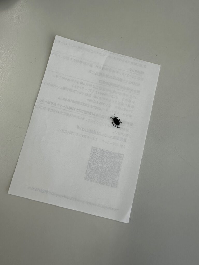 記事の代表画像